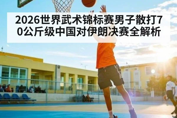 2026世界武术锦标赛男子散打70公斤级中国对伊朗决赛全解析
